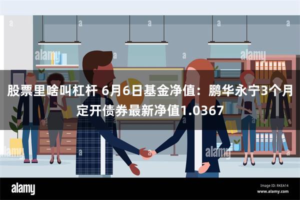 股票里啥叫杠杆 6月6日基金净值：鹏华永宁3个月定开债券最新净值1.0367