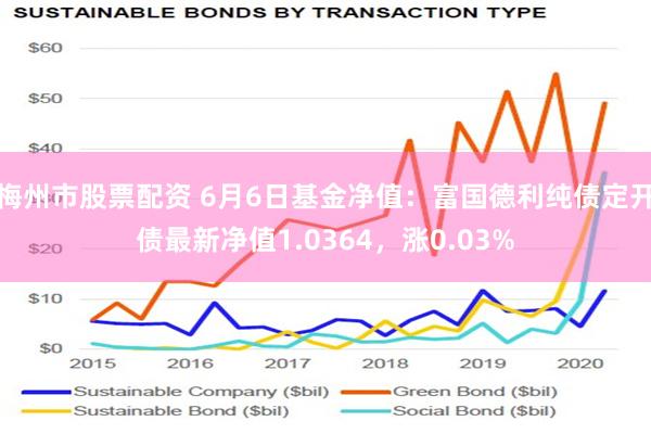 梅州市股票配资 6月6日基金净值：富国德利纯债定开债最新净值1.0364，涨0.03%