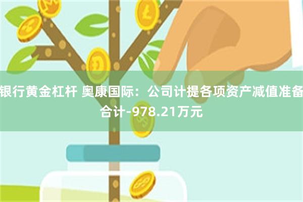 银行黄金杠杆 奥康国际：公司计提各项资产减值准备合计-978.21万元