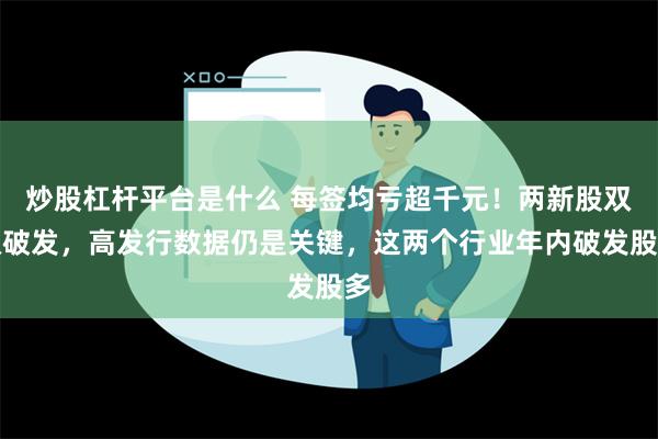 炒股杠杆平台是什么 每签均亏超千元！两新股双双破发，高发行数据仍是关键，这两个行业年内破发股多