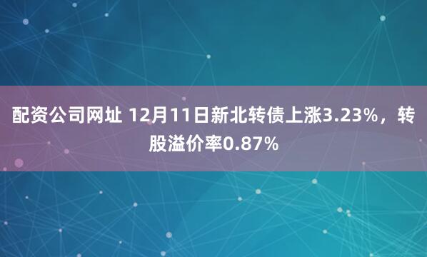 配资公司网址 12月11日新北转债上涨3.23%，转股溢价率0.87%