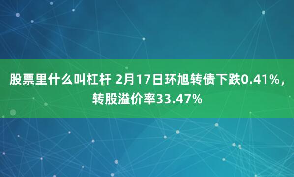 股票里什么叫杠杆 2月17日环旭转债下跌0.41%，转股溢价率33.47%