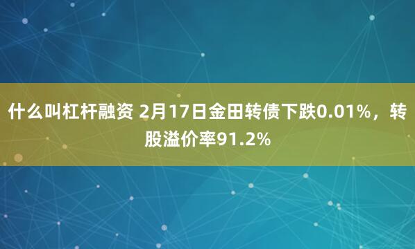 什么叫杠杆融资 2月17日金田转债下跌0.01%，转股溢价率91.2%