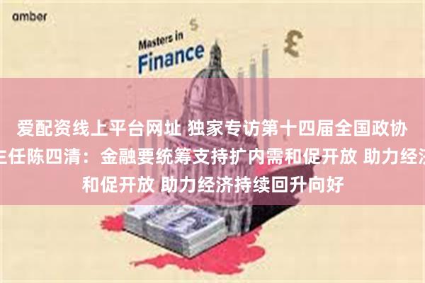 爱配资线上平台网址 独家专访第十四届全国政协外事委员会副主任陈四清：金融要统筹支持扩内需和促开放 助力经济持续回升向好