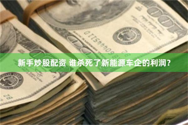 新手炒股配资 谁杀死了新能源车企的利润？